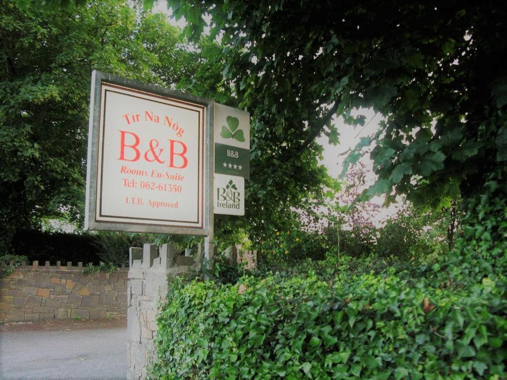 Tir Na Nog B&B Cashel  Kültér fotó