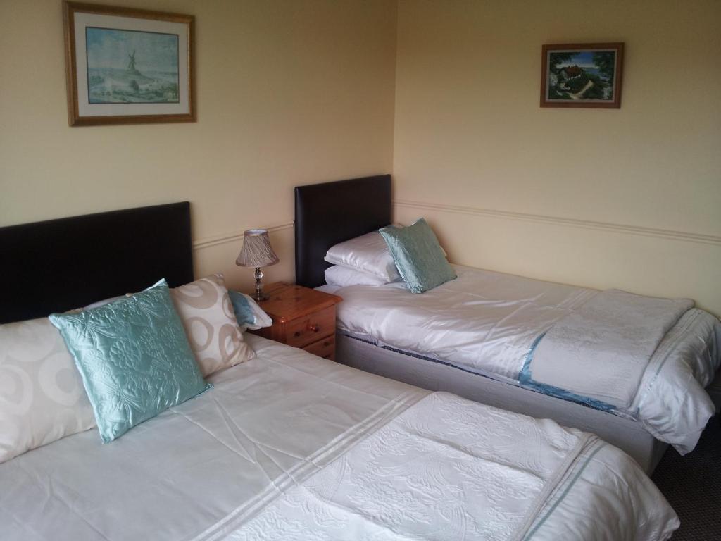 Tir Na Nog B&B Cashel  Kültér fotó