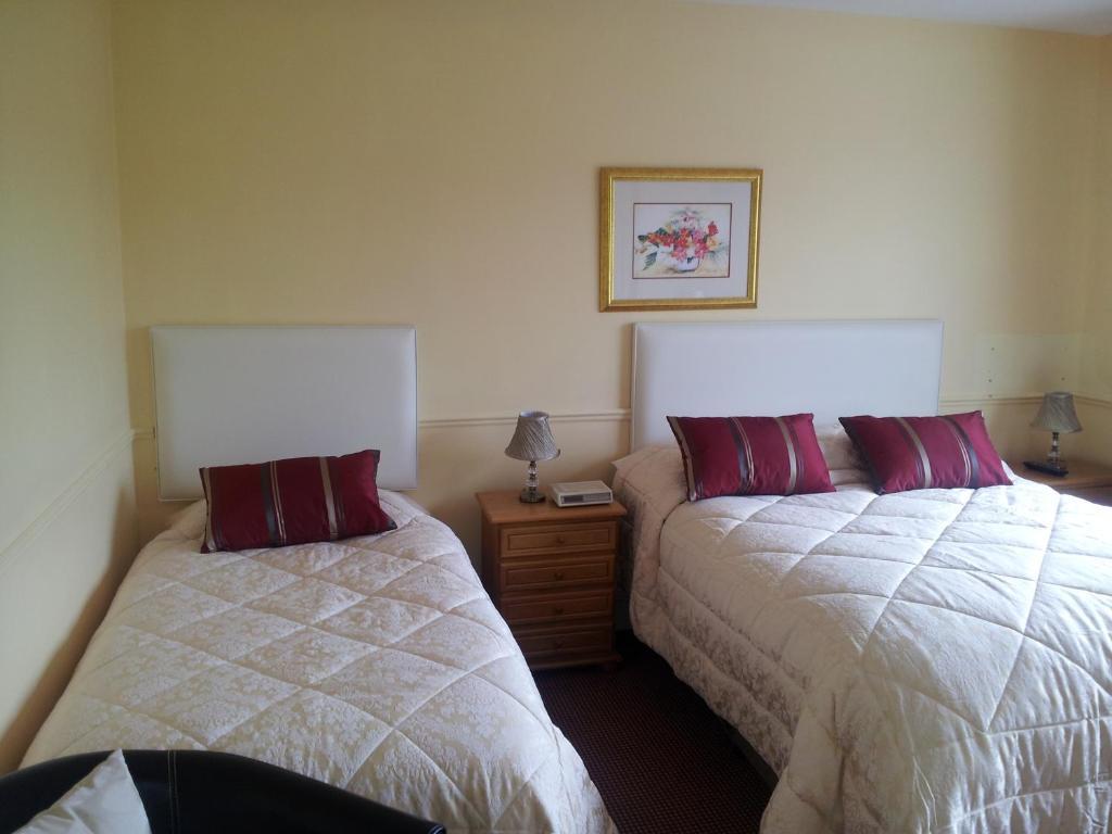 Tir Na Nog B&B Cashel  Kültér fotó