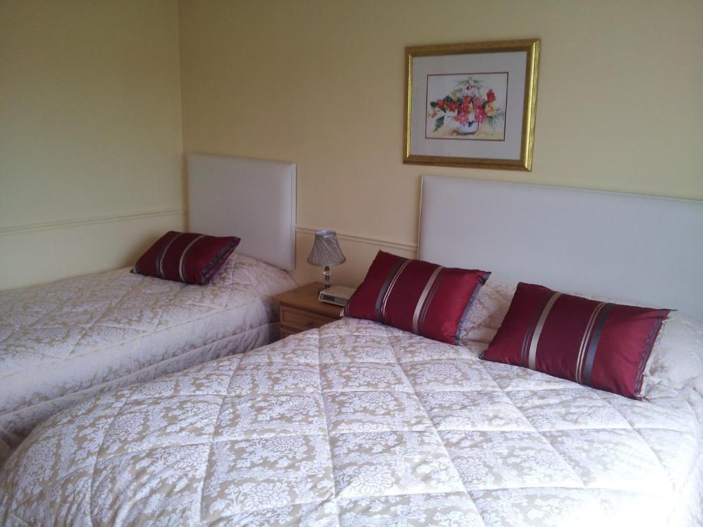 Tir Na Nog B&B Cashel  Kültér fotó